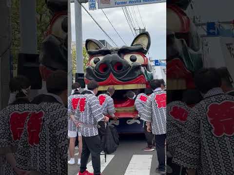 shorts 獅子パックン　山王　酒田まつり　2026年5月20日 サムネイル