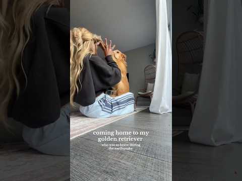coming home to my golden retriever🥵goldenretreivers dog pup… サムネイル