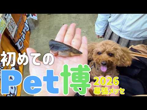 【ペット博2026】GW幕張メッセで行われたイベントに行ってきました サムネイル