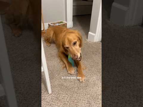 Bikini Try-On Haul :| 4K Transparent Lingerie & See-Through… サムネイル