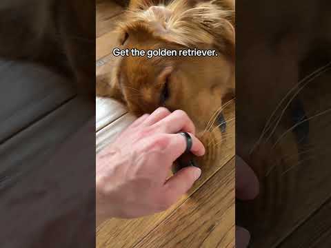 No better dog. サムネイル