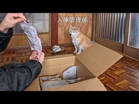 箱で届いたオヤツの内容確認【味見は必要ありませんか？】 サムネイル