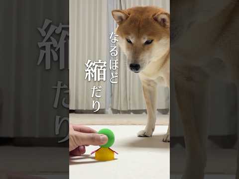 このおもちゃ、LOVEである サムネイル