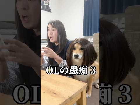 メイク直しながら愚痴るOLと興味のないOL 柴犬 shorts