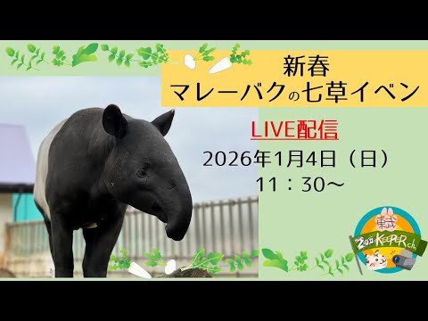 マレーバクの七草イベント【東武動物公園　公式YouTubeチャンネル】 サムネイル