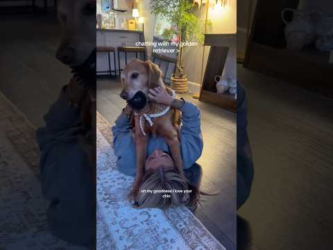 dog-tor coby to rescue🛟goldenpup puppy goldenpupppy dogbree… サムネイル