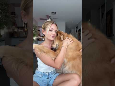 coming home to my golden retriever🥵 goldenretreiver dog ind…