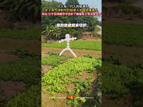 一代有一代人的稻草人 女子用氣球製作的稻草人護園效果喜人 意外 有趣 搞笑 萬萬沒想到 創意 amazing funn… サムネイル