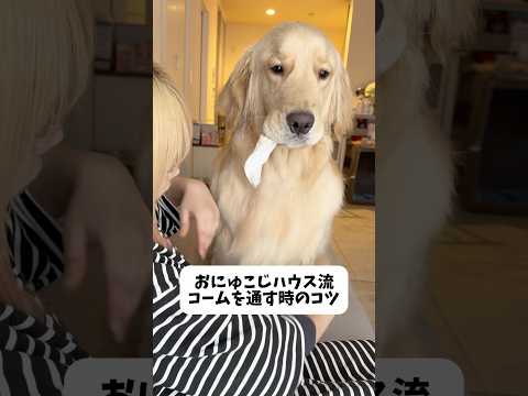 何かをくわえてたい生き物なので🐾おもちゃとかタオルとか近くにあるものをくわえさせてます🤣※勢いで飲み込んじゃう子もいる… サムネイル