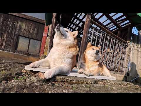 2026年4月20日(月) バスマット 水入らずな 漂流生活🏝️ サムネイル