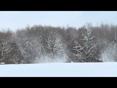 那須どうぶつ王国へ向かう途中場所でつむじ風🌪️2つ　2026年1月12日 サムネイル