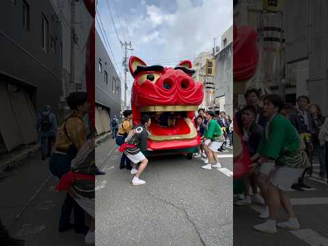 shorts 酒田大獅子　日和　獅子パックン　酒田まつり サムネイル