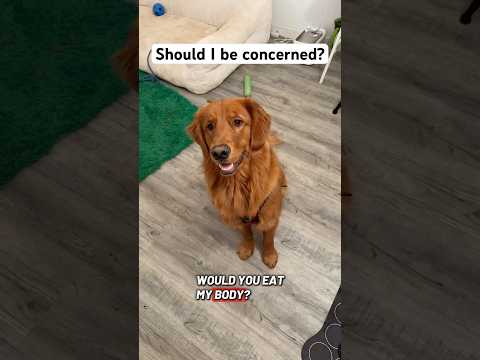 I feel betrayed! サムネイル