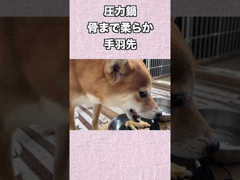 圧力鍋で骨まで柔らか手羽先