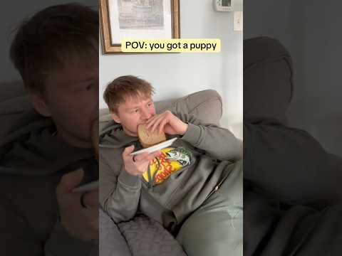 This is not an exaggeration! サムネイル