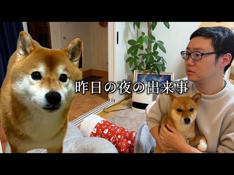 【青森県東方沖地震】昨夜の出来事に関して。 サムネイル