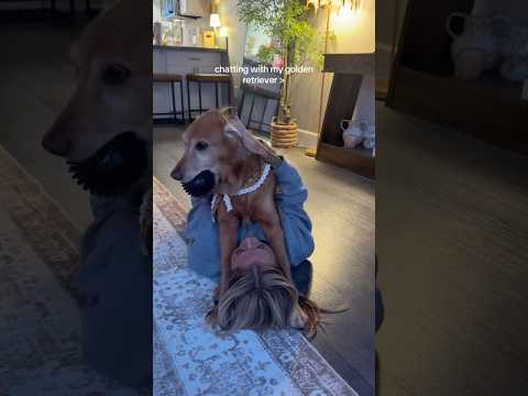Come to my golden retriever 2026blonde goldenretreiver dogb… サムネイル