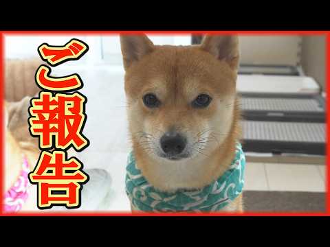 全てが終わりました。