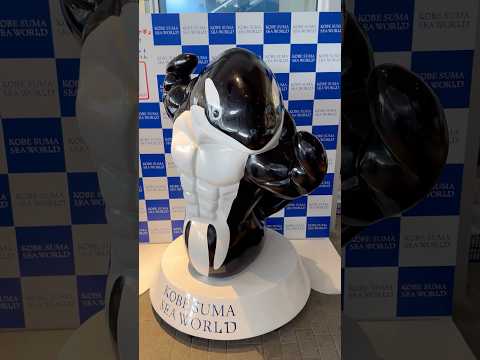 shorts マッチョにシャチさん　須磨シーワールドにて　2025年12月30日 サムネイル