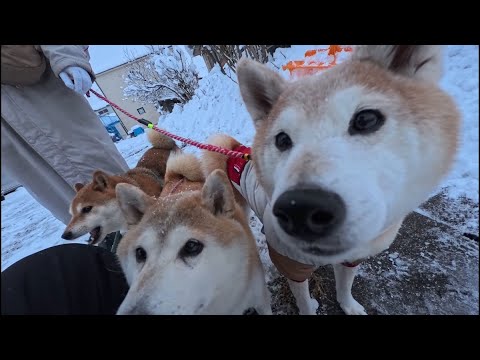 2026年1月29日(木) カッコいい防寒着のはる君とおやつ初め サムネイル