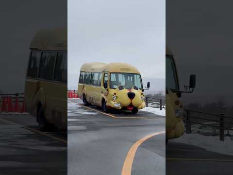 shorts ワンニャンバス🚌待機中〜　那須どうぶつ王国　2026年1月30日 サムネイル