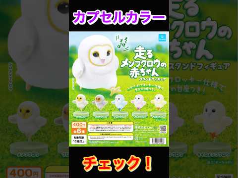 【カプカラチェック】走るメンフクロウの赤ちゃん スタンドフィギュア サムネイル