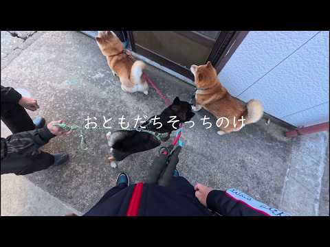 お迎えにあがったのにお友達そっちのけな食いしん坊たちｗｗ サムネイル