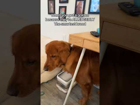 That seemed like it hurt really bad 🤕 I felt that 😬 サムネイル