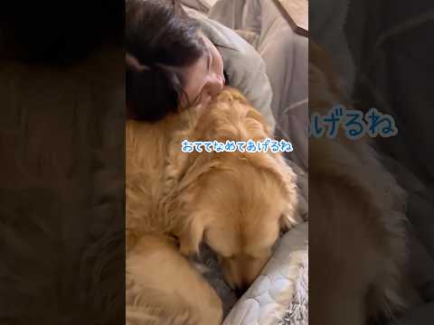 ほんまに仲良し？な姉と大型犬 ゴールデンレトリバー 大型犬のいる生活 goldenretreiver サムネイル