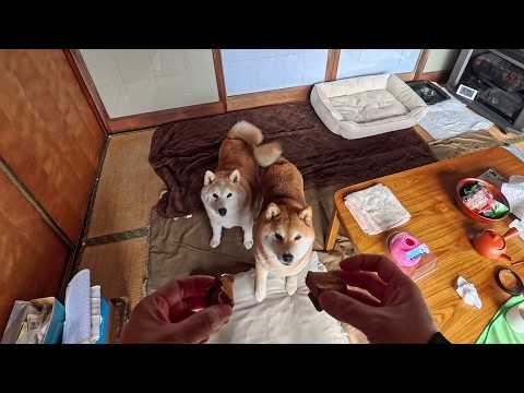 2026年4月3日(金) もはやキャラメル！ 禁断の超熟焼き芋 サムネイル