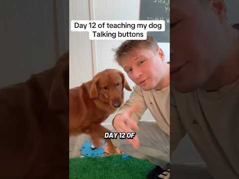Day 12 of teaching my dog the talking buttons 🐶 サムネイル
