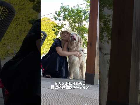 暖かくなってきた最近のお散歩ルーティン🐾ゴールデンレトリバー 犬と2人暮らし サムネイル