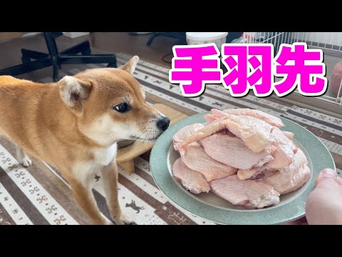 【柴犬小夏】クリスマスは骨ごと手羽先いただきます　ASMR　圧力鍋 サムネイル