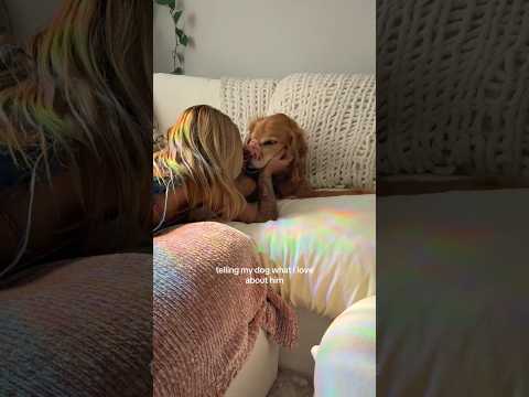 coming home to my golden retriever🥵goldenretreivers dog pup… サムネイル