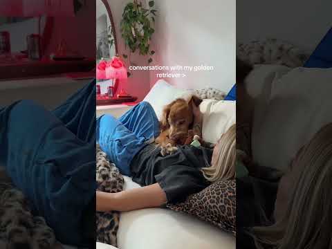 conversations with my golden retriever🥺goldenretreivers dog… サムネイル