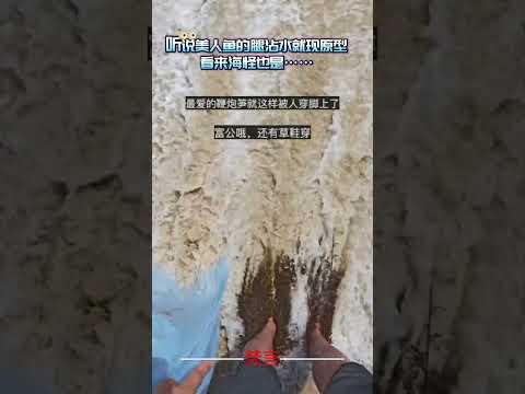 聽說美人魚的腿沾水就現原型 看來海怪也是 意外 有趣 搞笑 萬萬沒想到 amazing funny shorts サムネイル