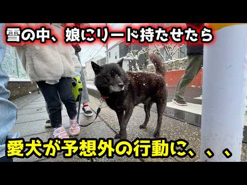【ほっこり】雪の中、娘と散歩してたら愛犬がまさかの行動に・・・ サムネイル