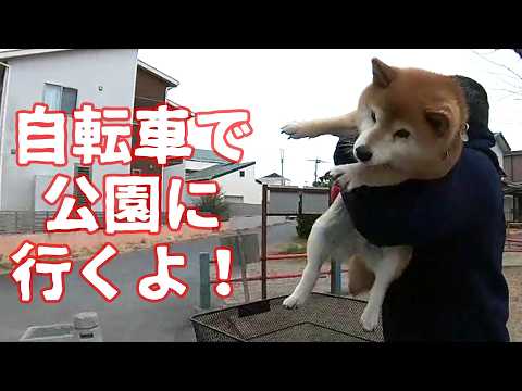 【1095】過去映像：公園まで自転車なら３分で行けます サムネイル