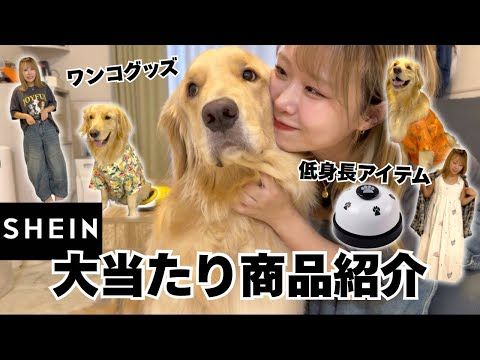 150cmアラサーと36kgゴールデンレトリバーのSHEIN大当たり商品紹介🐾