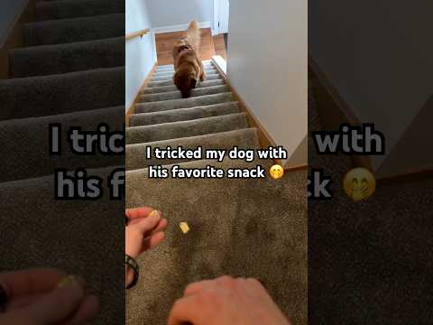 Am I a bad person? サムネイル