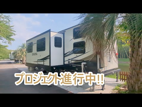 プロジェクト進行中。ゴールデンレトリバーティト サムネイル