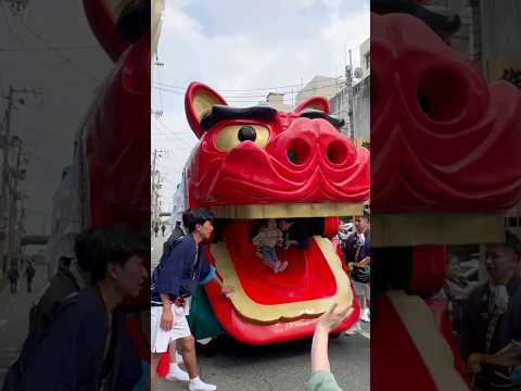 shorts 酒田大獅子　日和　獅子パックン　酒田まつり サムネイル