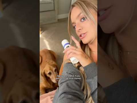 dog-tor coby to rescue🛟goldenpup puppy goldenpupppy dogbree… サムネイル