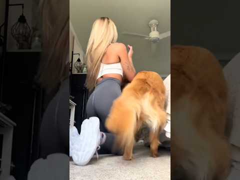 coming home to my golden retriever❤️india retreiver dog pup… サムネイル