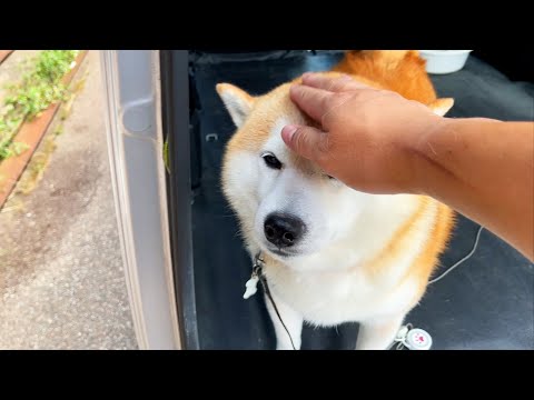 さきほどの動画の0:46～。おわかりいただけただろうか？ サムネイル