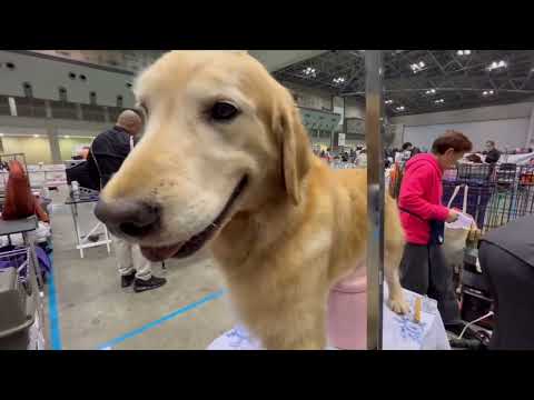 狭いパドックでも皆でワイワイ楽しく過ぎる時間 特別本部展での準備風景 サムネイル