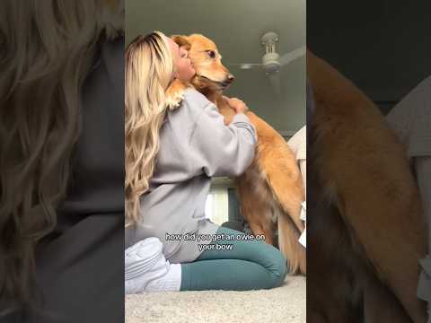 coming home to my golden retriever🥵 goldenretreiver dog ind…