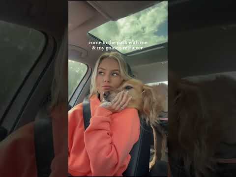coming home to my golden retriever🥵 goldenretreiver dog ind… サムネイル