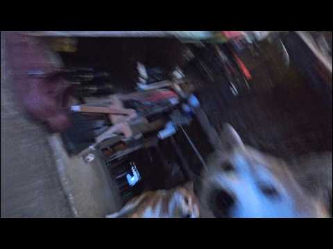 2026年2月25日(水) 大はしゃぎしてカメラを倒した途端にシュンとなる子達 サムネイル