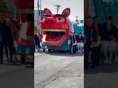 shorts 獅子パックン　酒田大獅子　酒田まつり サムネイル
